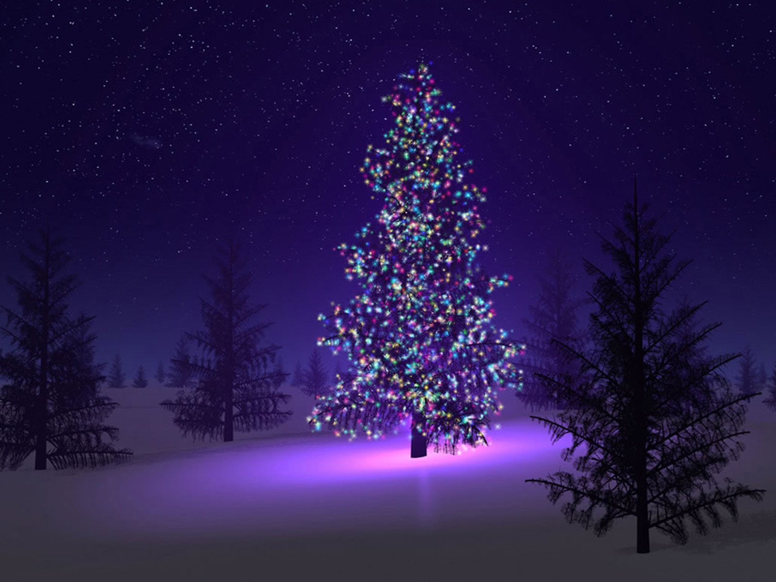 Christmas Tree Lighting