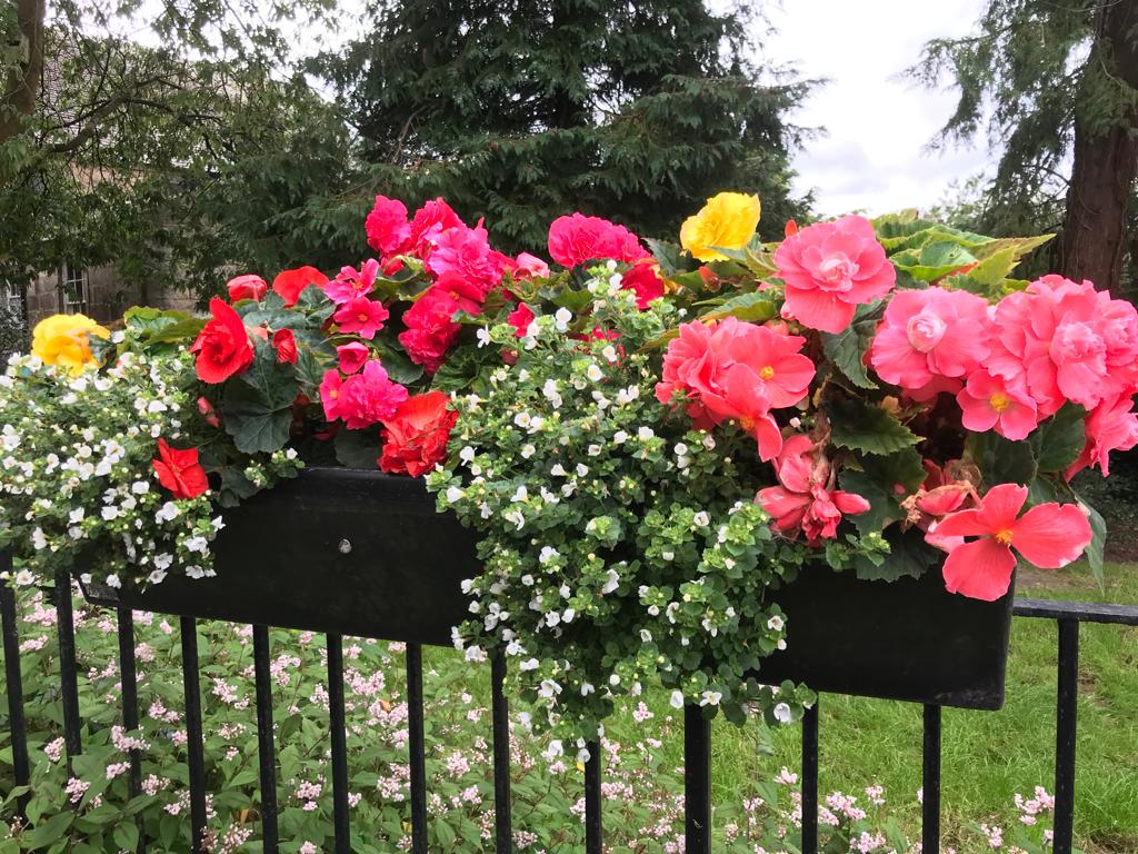 Church Green Plants