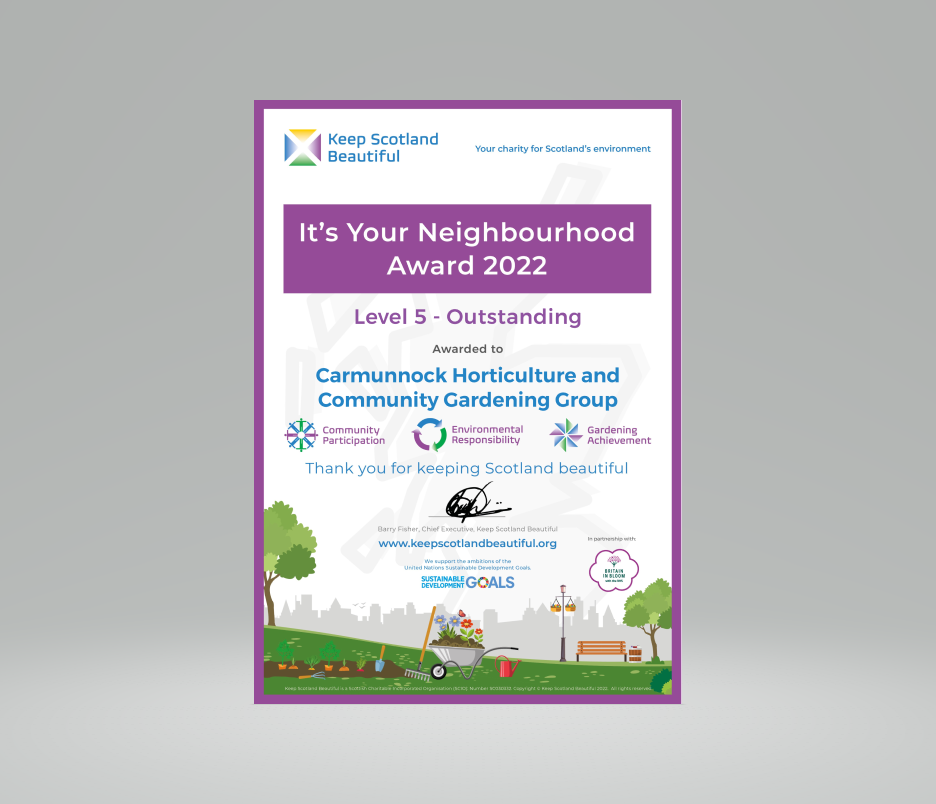 It's Your Neighbourhood  - Outstanding Award