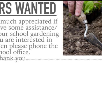 Helpers wanted