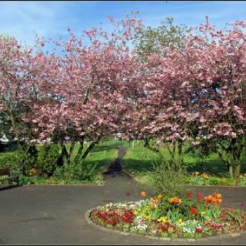 Community Gardening