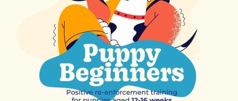 Puppy beginners