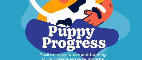 Puppy progress